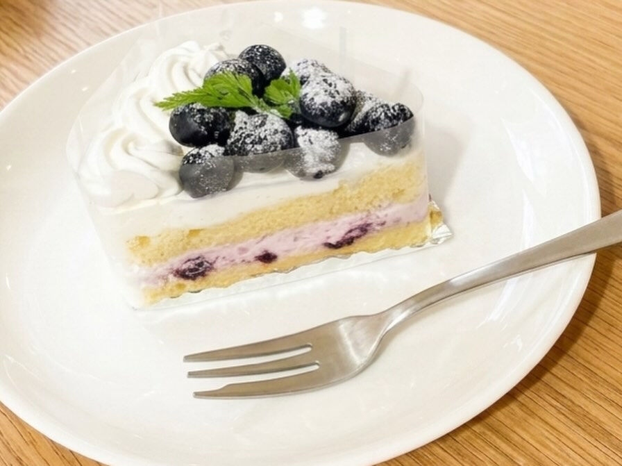 【ブルーベリーの森】