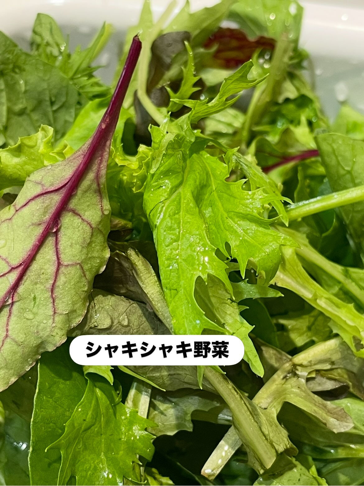 【そば粉のガレット】