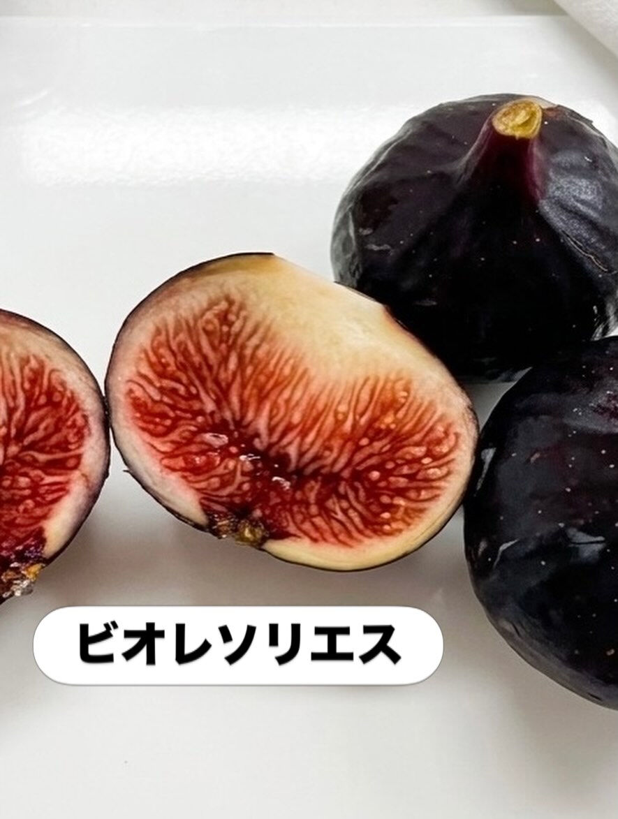 【今日のいちじくショートは「ビオレソリエス」✨】
